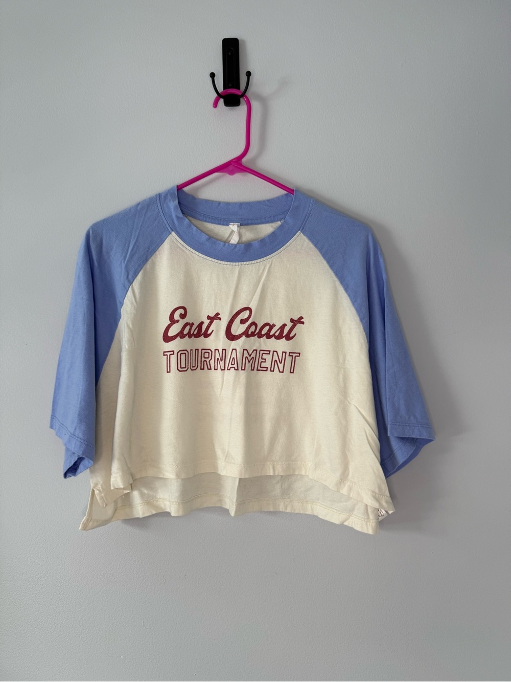 Anthropologie Cropped Raglan Tee - Cream & Light Blue